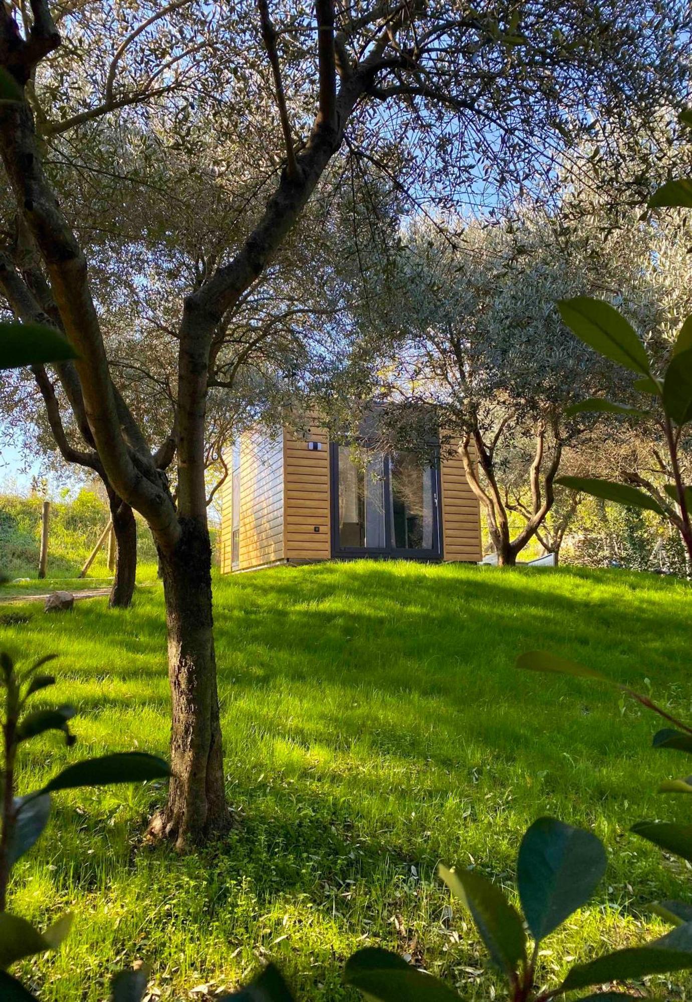 Seregnér Agricamping - Adults Only 18 - solo piazzole libere per camper, tende e roulotte Monzambano Extérieur photo