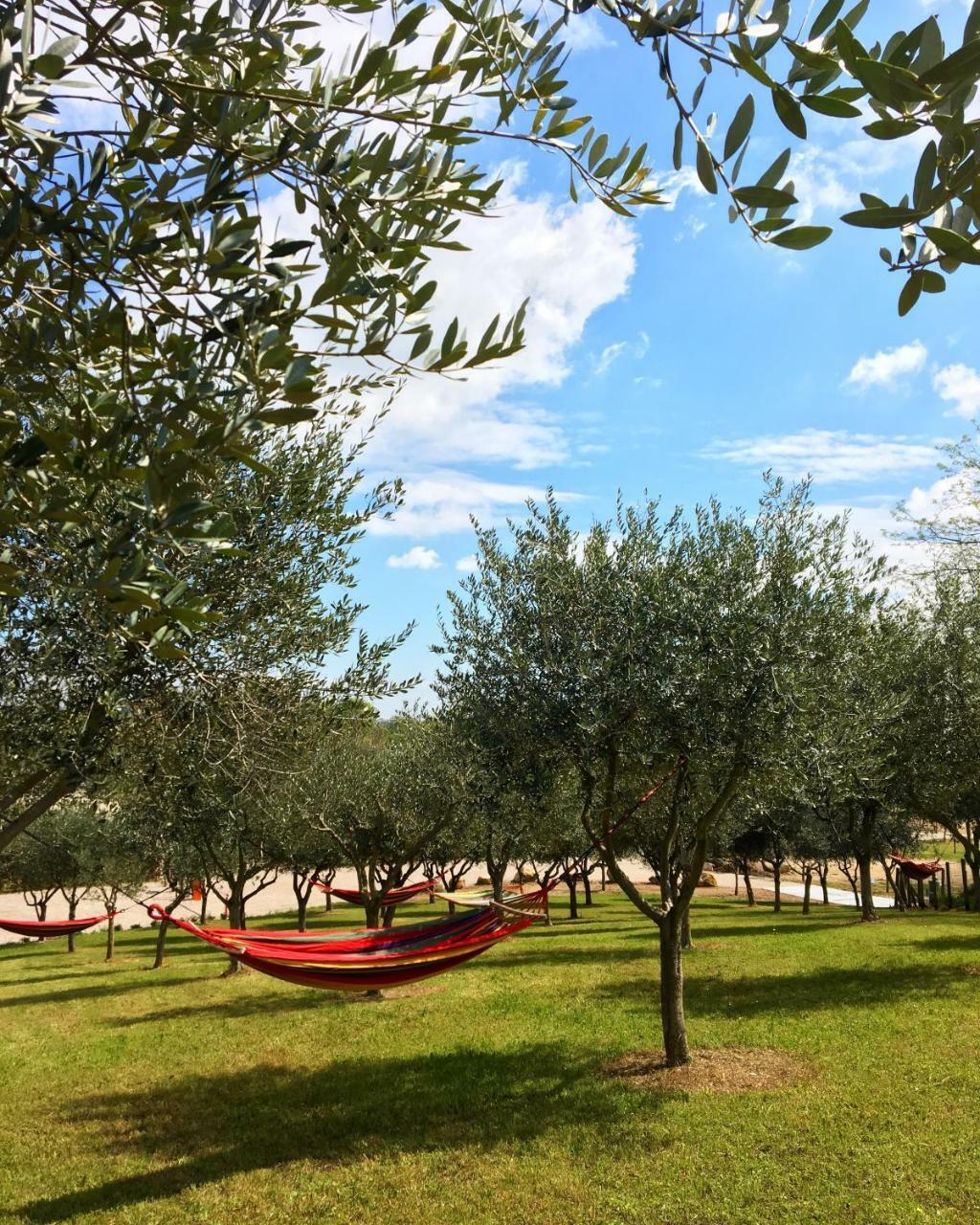 Seregnér Agricamping - Adults Only 18 - solo piazzole libere per camper, tende e roulotte Monzambano Extérieur photo